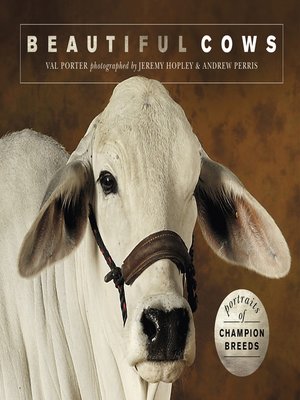 cover image of Beautiful Cows